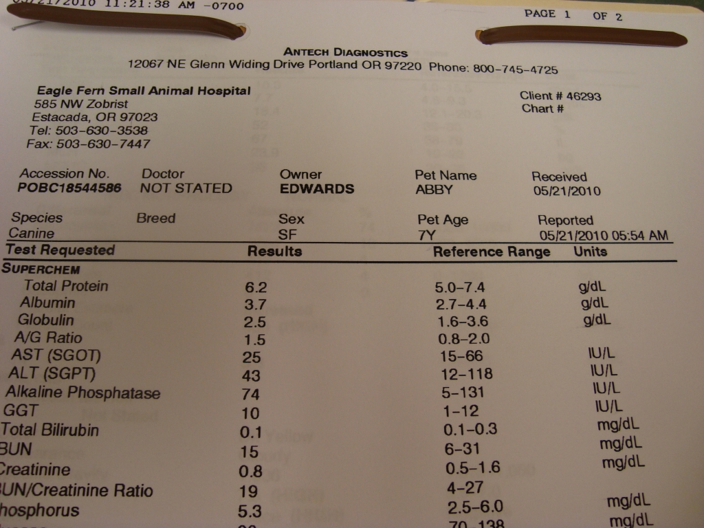 Anesthesia Blood Screen