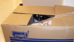 Cat Hiding in a Carboard Box
