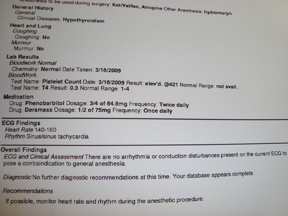 EKG Paperwork