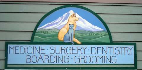 Eagle Fern Veterinary Hospital Logo