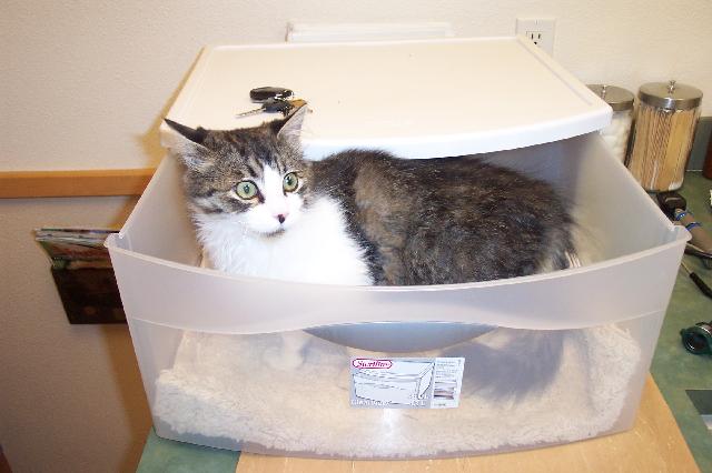 Drawer Carrier