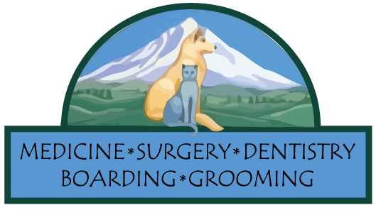 Eagle Fern Veterinary Hospital Logo